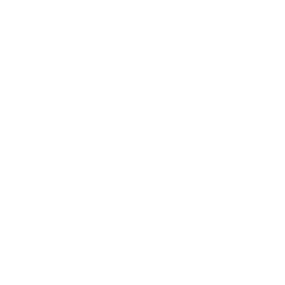 Icon-Highlights